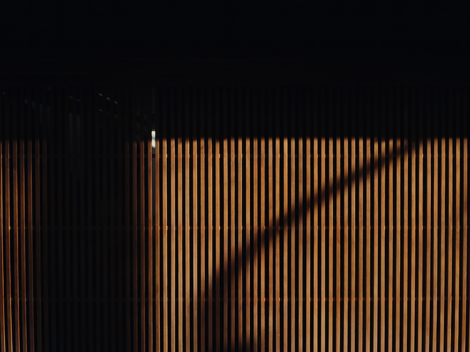 Taiga Takahashi 的祇园美学空间丨日本京都丨Taiga Takahashi(高桥大雅)-32