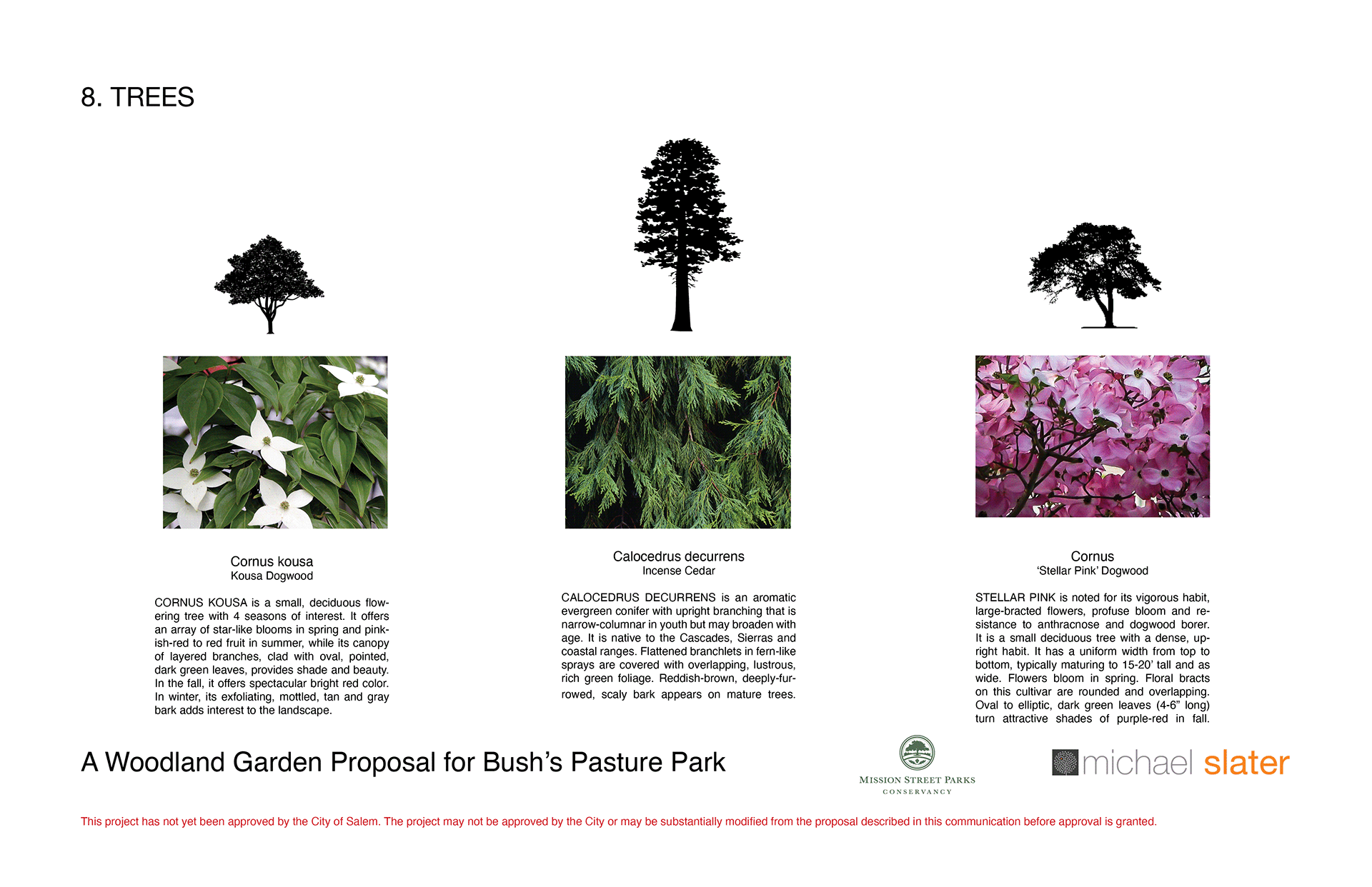 A Woodland Garden for Bush's Pasture Park-7