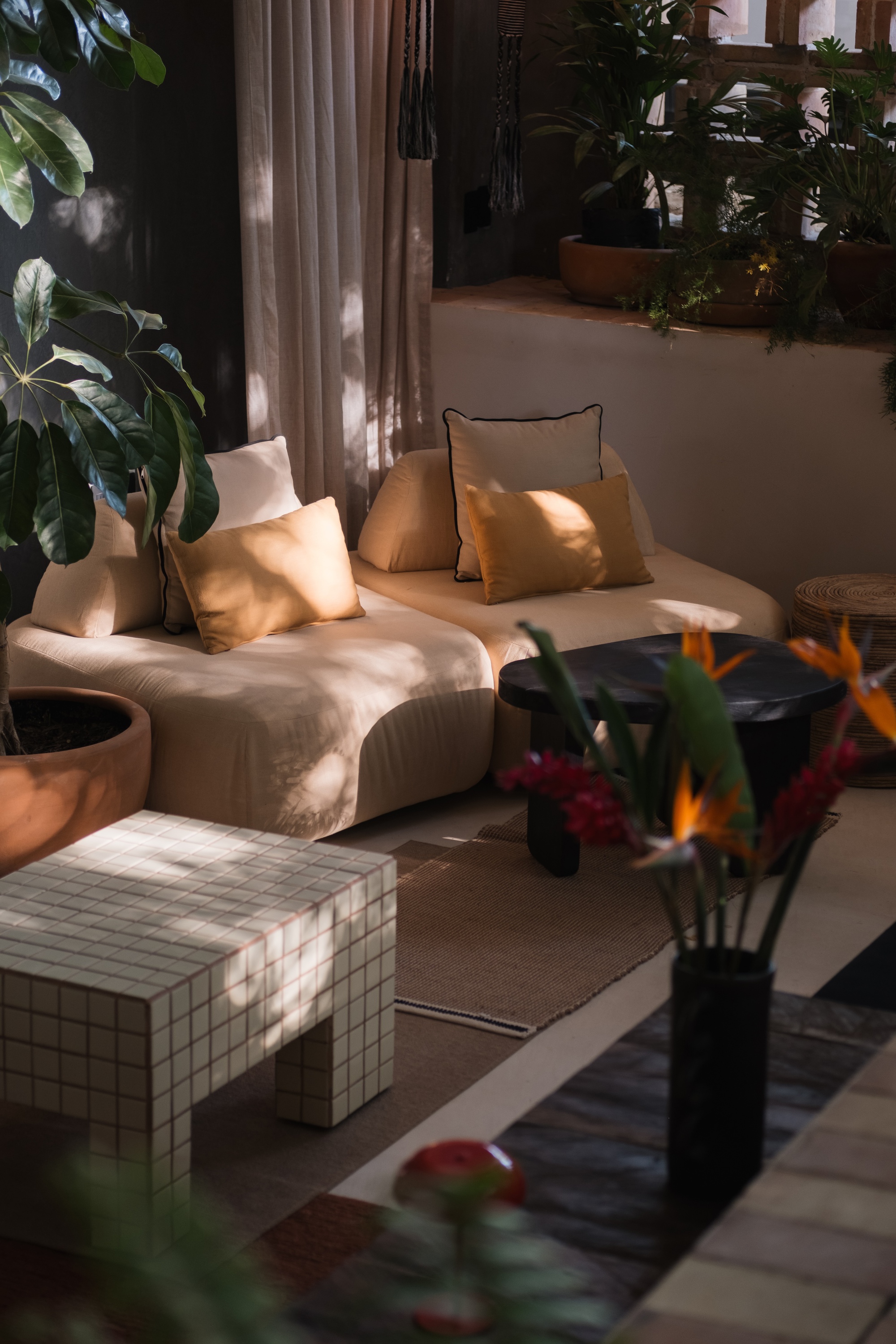 丨墨西哥丨CAAM Arquitectos-24