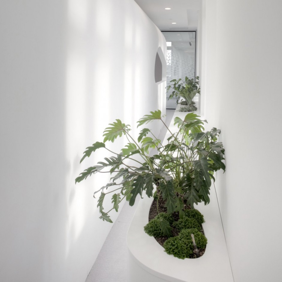 法兰克福办事处-17