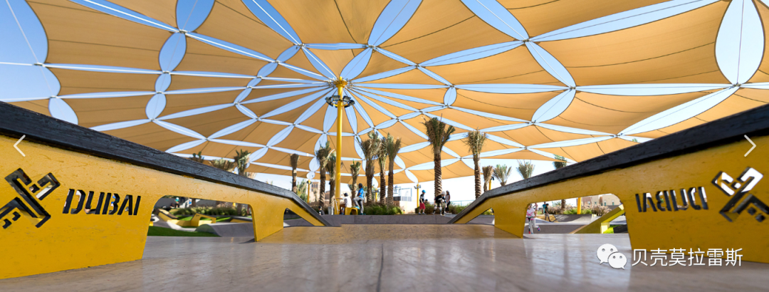 滑板公园设计丨美国-15