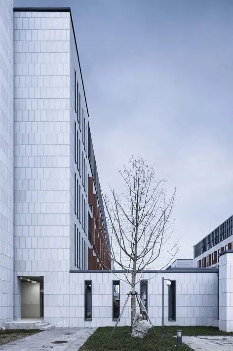 江苏省泰州中学新校区-57