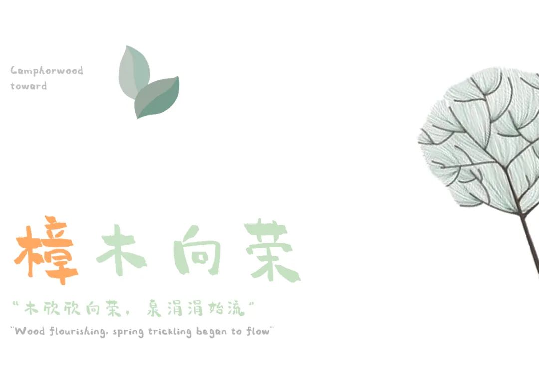 萌芽新生，樟木成林 | 长沙雨花金茂智慧科学城-21