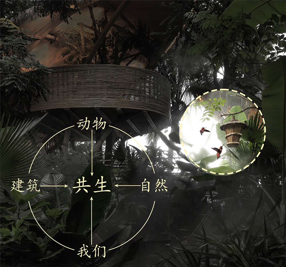 春武里丨中国西双版纳丨方糖设计-48