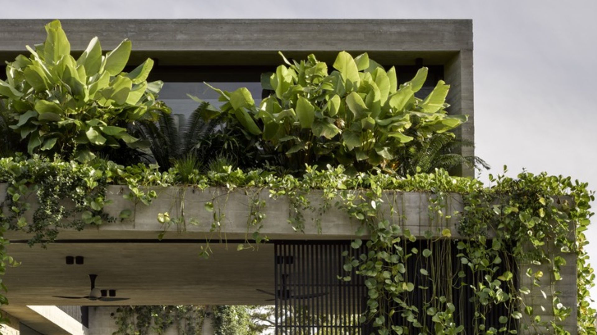 河畔现代住宅-1