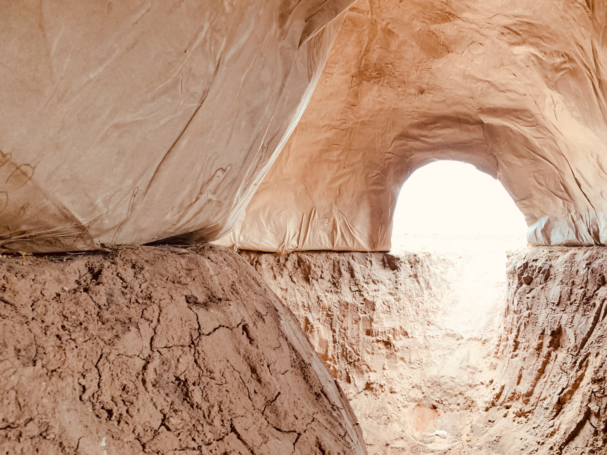 美国设计师在德州农场打造“世界最大纸浆建筑”-12