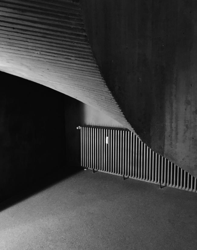 “老虎与乌龟”丨德国丨德国艺术家乌尔里希·根茨和海克·穆特-46