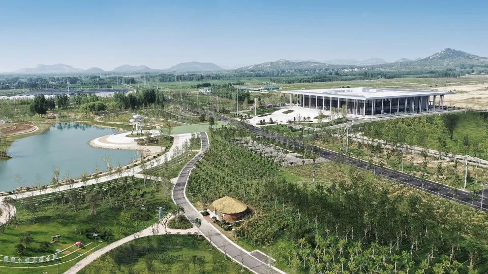 邹城市蘑菇展览馆丨同圆设计集团股份有限公司-10