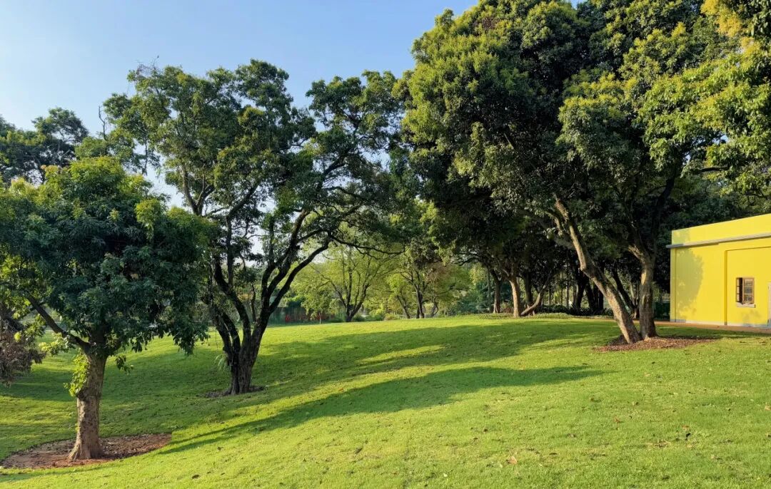 十一赏景别错过！华南国家植物园[绿美广东物种展示园]-81