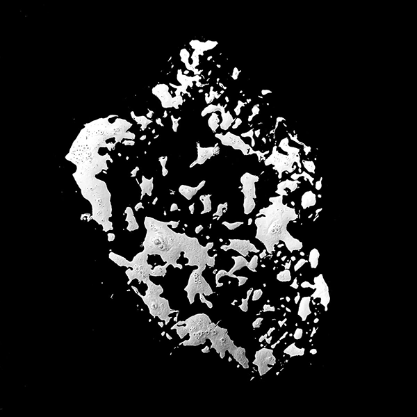 马特恩和帕滕,丝瓜络-22