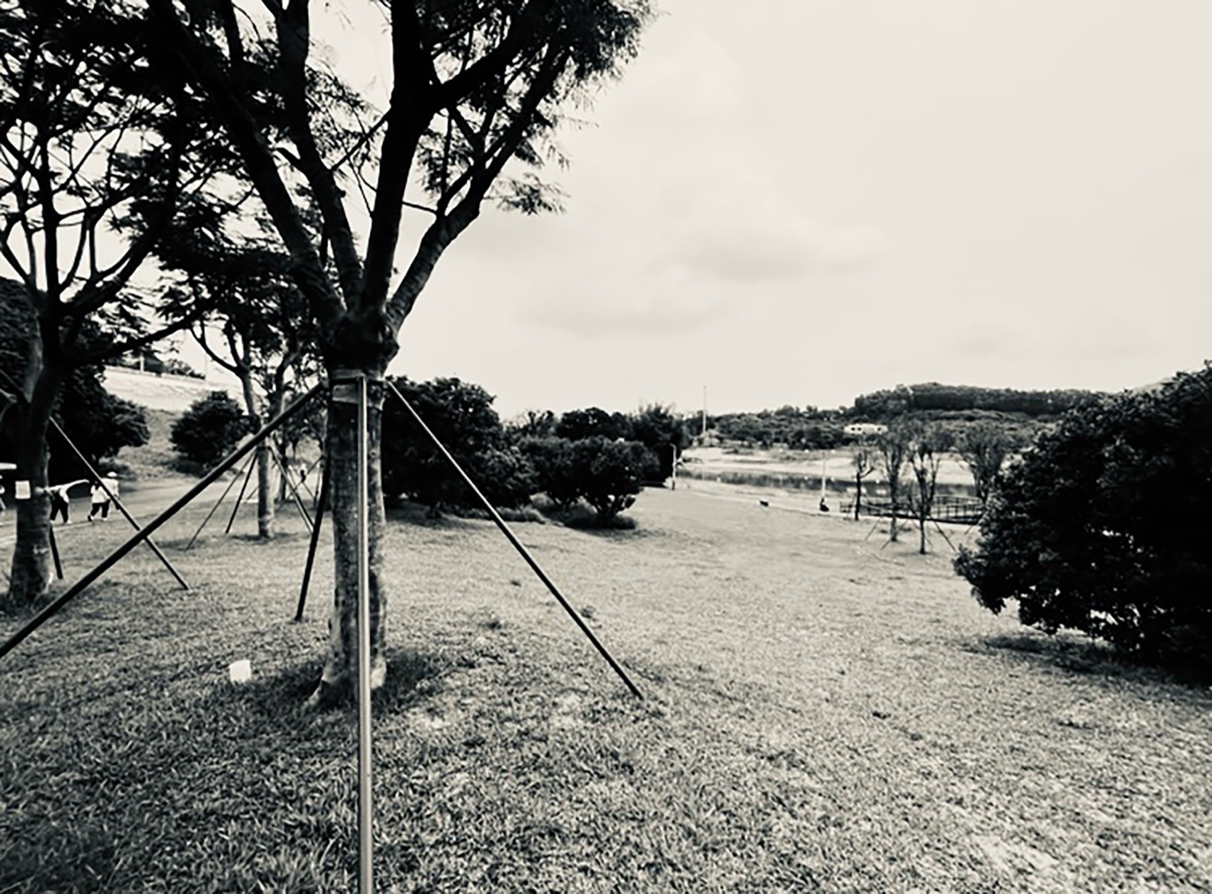 日熹阁与月在庭丨中国深圳丨南沙原创建筑设计工作室-16