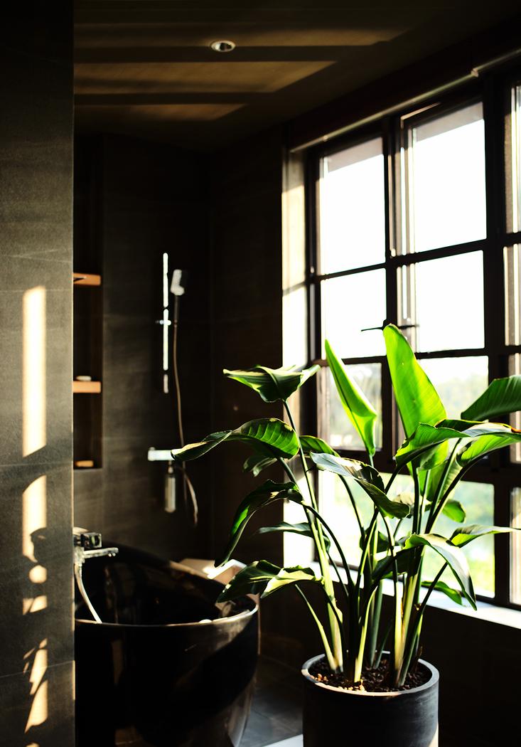 禅意空间 | 一屋一世界，悠然见南山-56