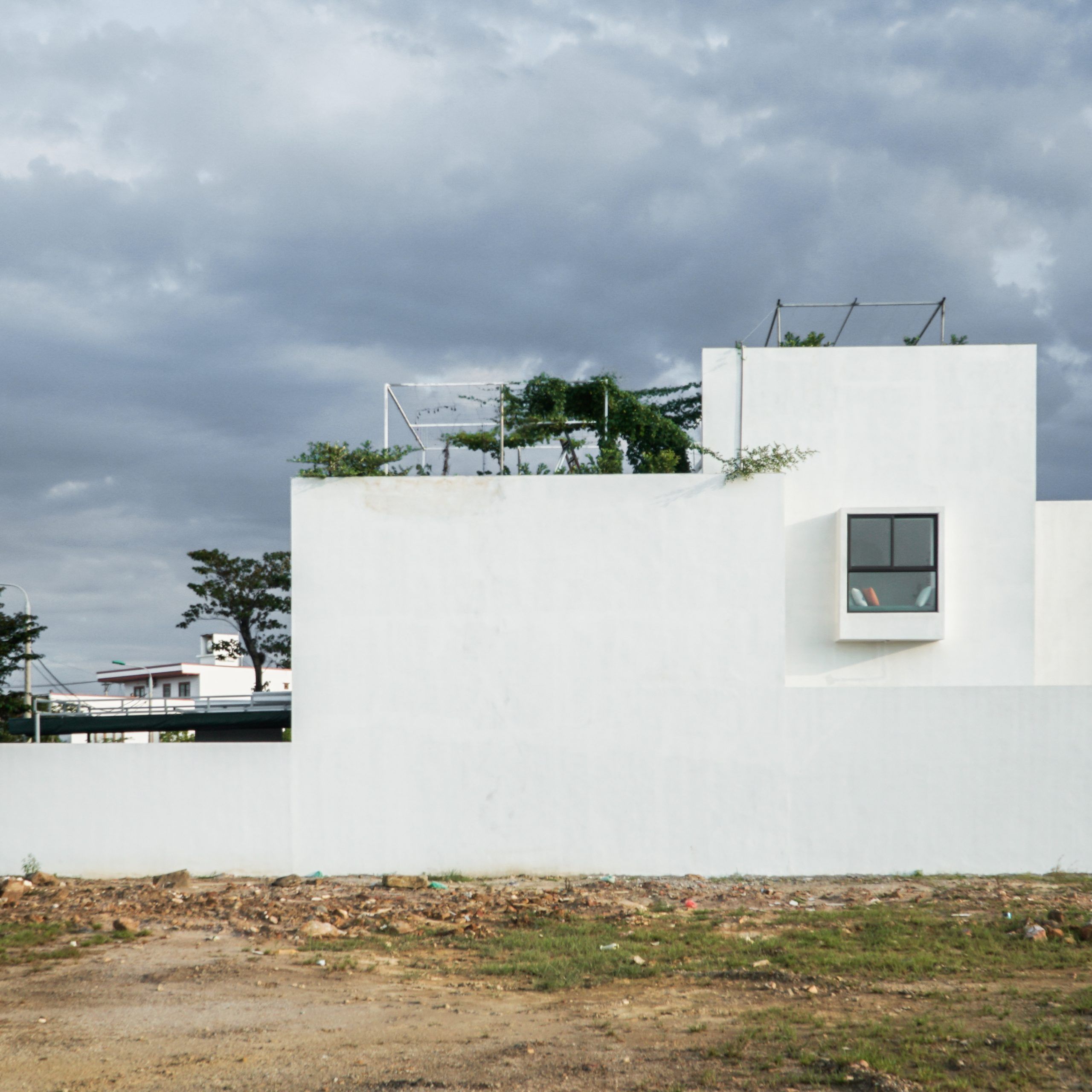 绿意盎然的四口之家-14