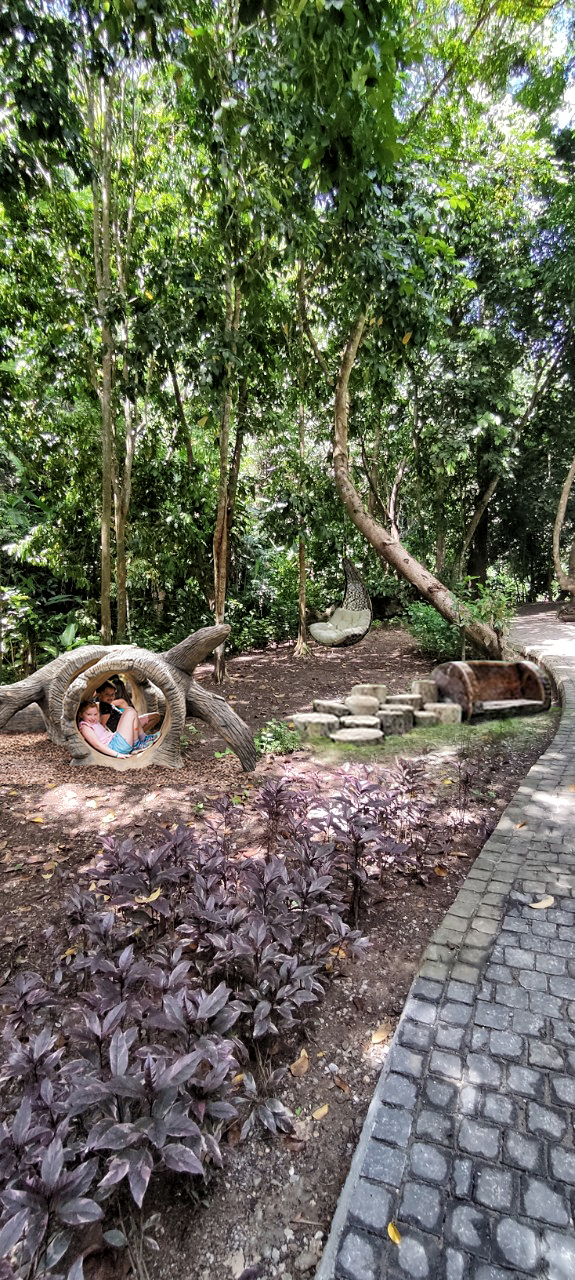 BON BON FOREST PARK CONCEPT-10