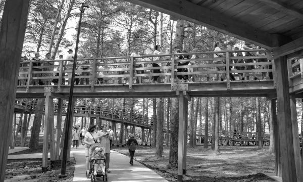 城市花园景观设计·阿西诺市中心“团结城市”项目丨俄罗斯托木斯克丨托木斯克州城市环境发展中心-48