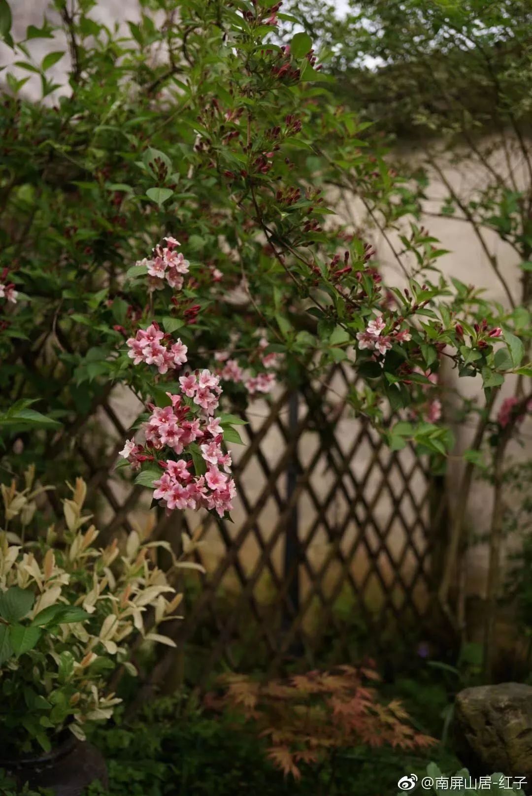 辞去工作，历时7个月，他们过上了有院子，有诗和远方的生活-69