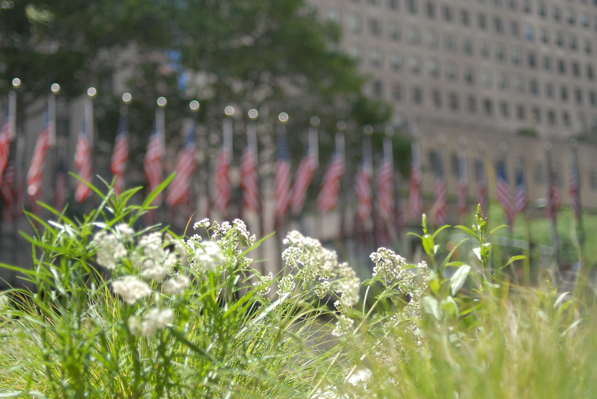 Rockefeller Center Summer Gardens | Julia Watson LLC-11