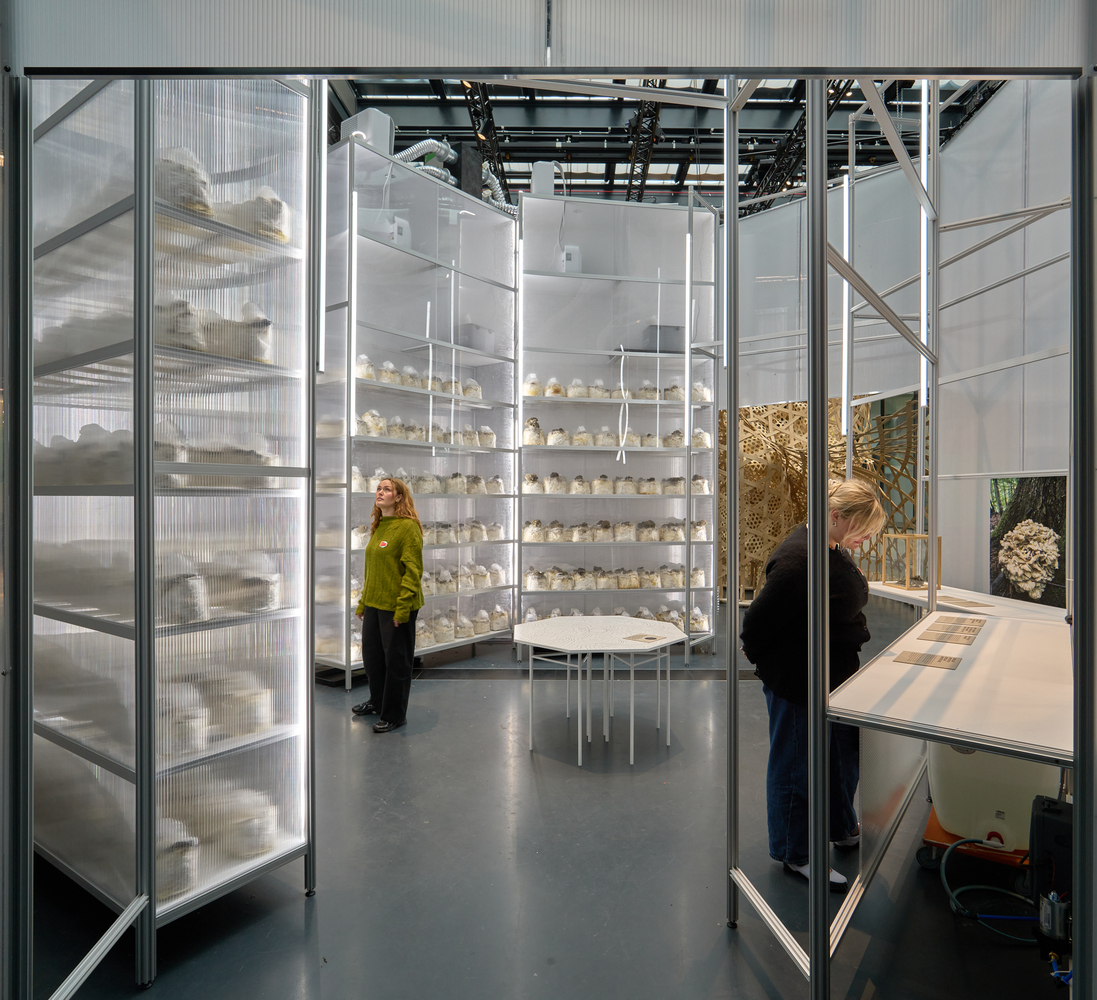 “Age of Nature”展览丨丹麦-11