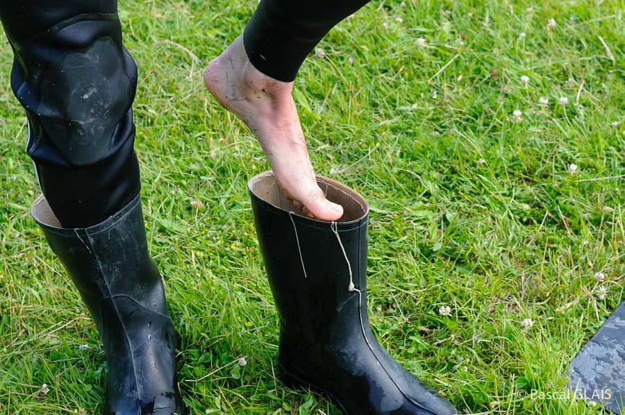 Etangs d'art 2014 :  -24