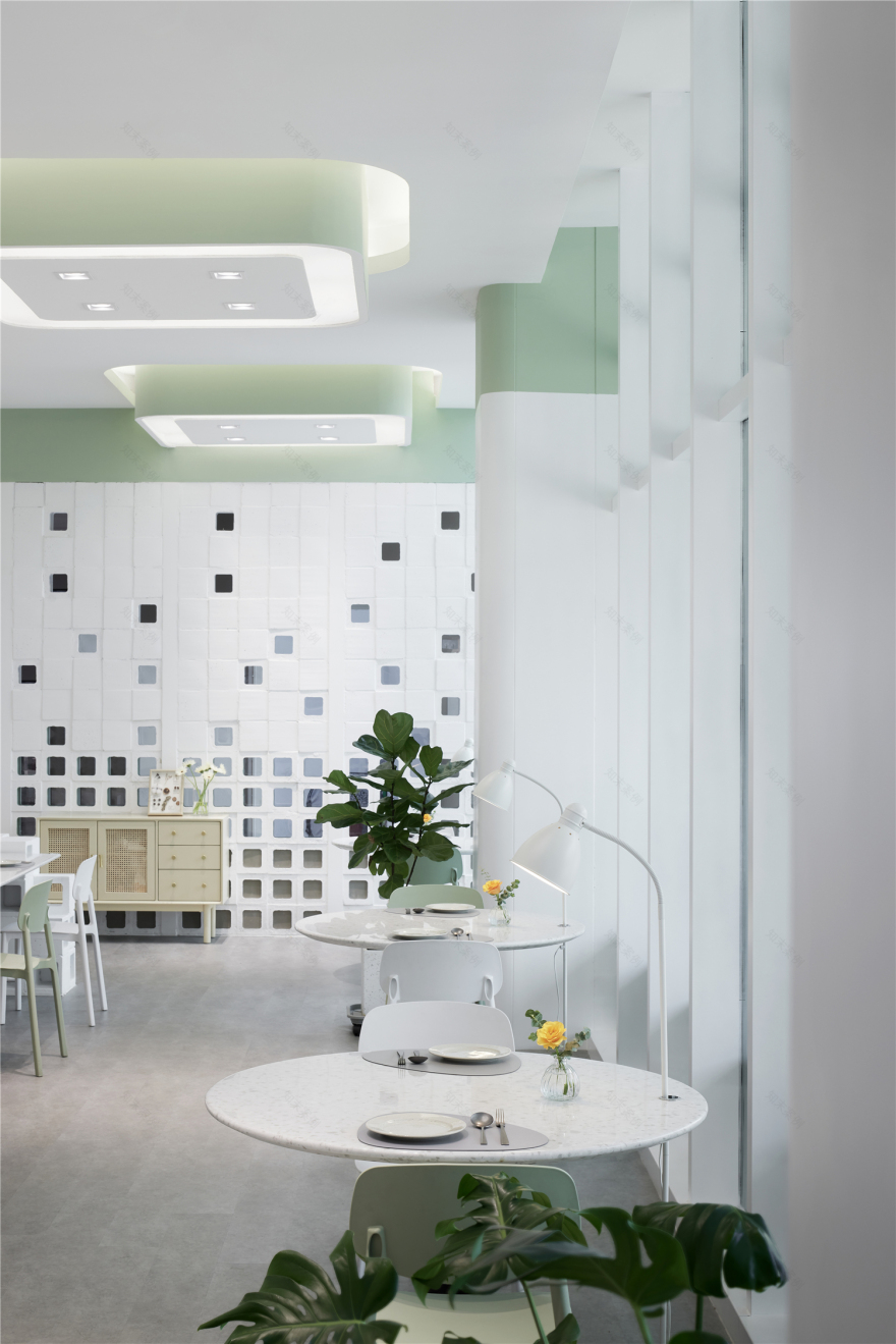 食野沙拉信阳电子产业园店丨中国信阳丨WDS-0