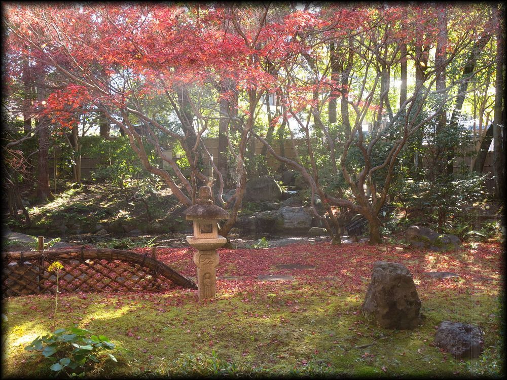 京都市国际交流会馆丨七代目小川治兵衛（植治）-34