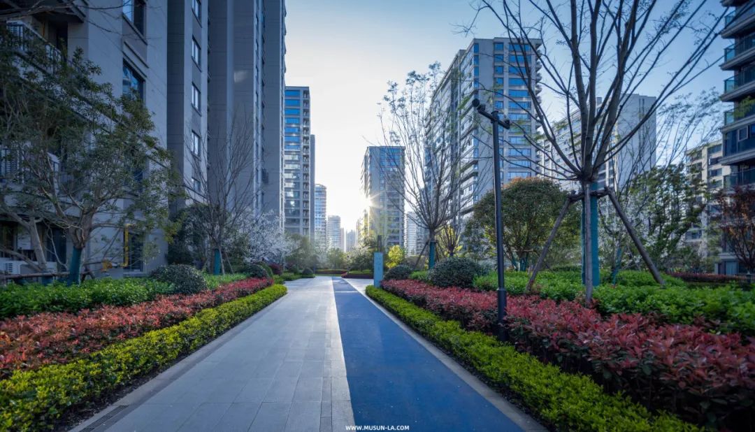 MUSUN·融信·展望轩丨中国杭州丨木杉景观-24