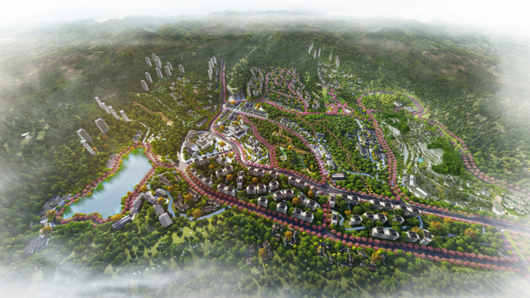 茶源小镇丨中国雅安-0