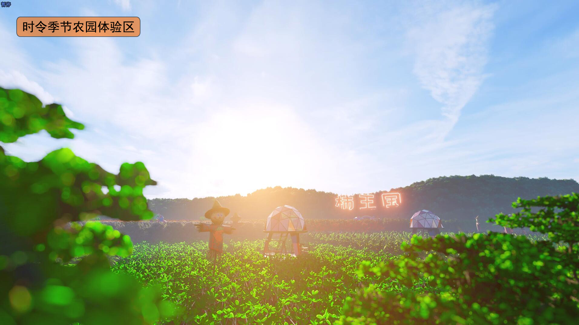 《柿王国》主题生态文化园-14