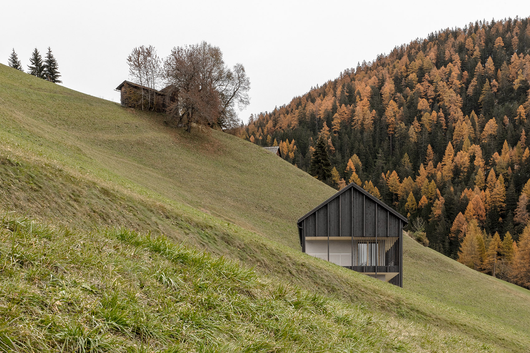 CIASA LE FIUN 住宅丨奥地利蒂罗尔丨意大利建筑师 Daniel Ellecosta-3