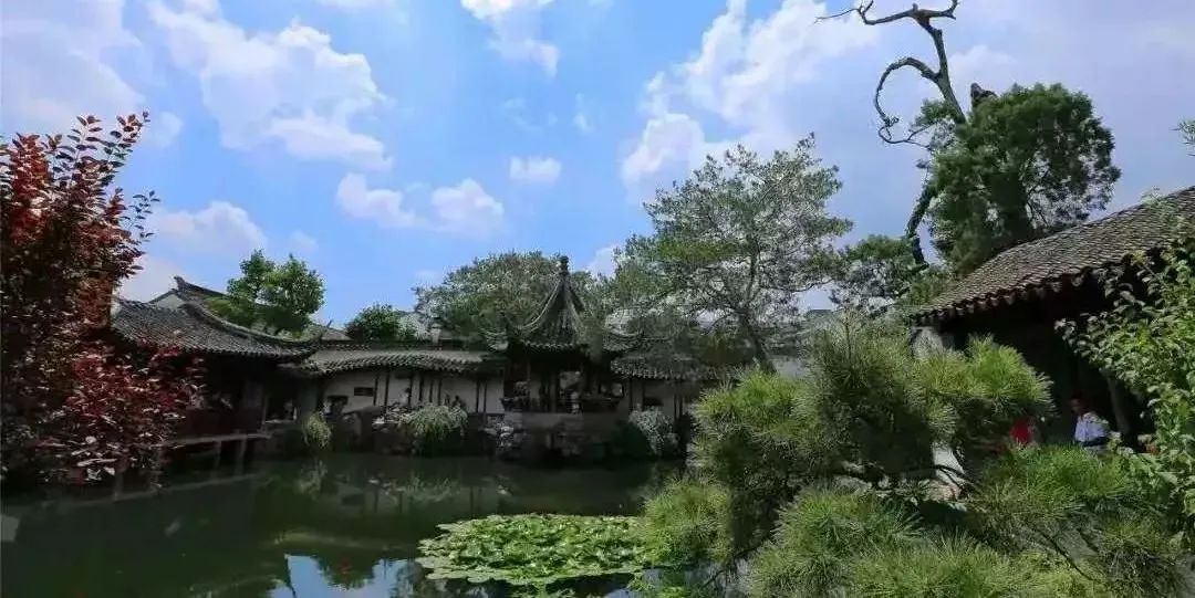 城市更新 | 历时三年，苏州仓街惊艳亮相，昔日古城焕新重启-93