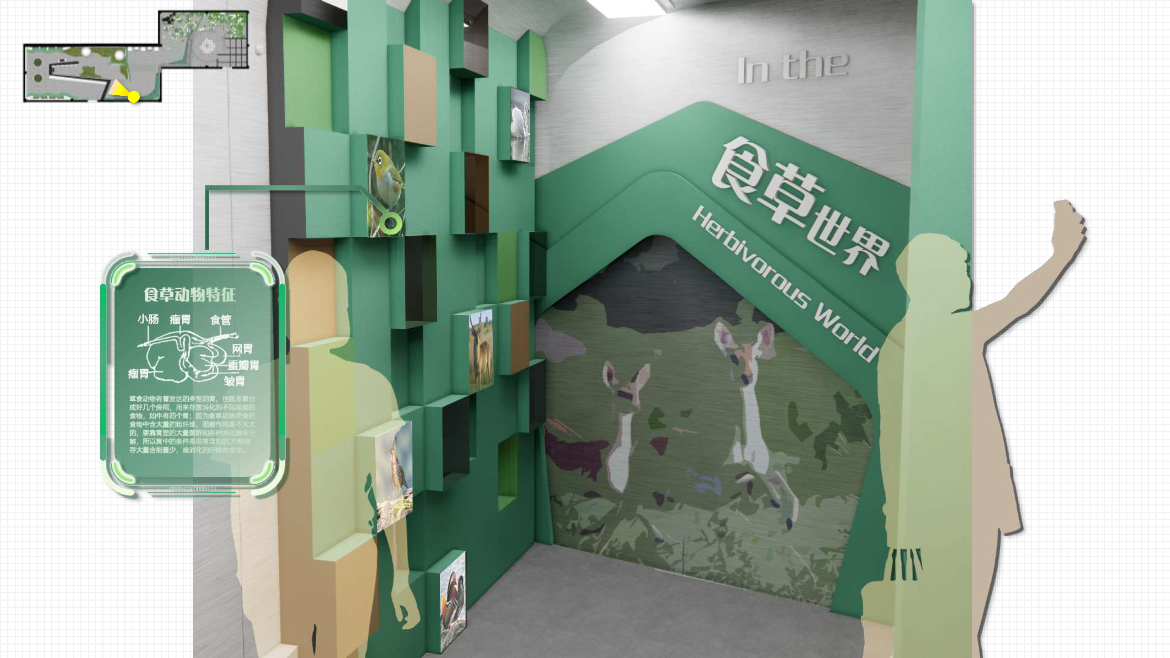 “链”接未来-生物多样性主题展览-21