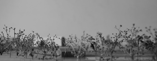 丨Студия Via Via（学生 Софья Балыкина设计）-27