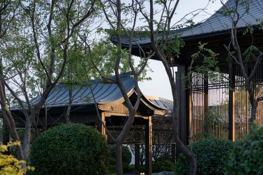 北京颐和典藏馆丨中国北京丨凯盛上景（北京）景观规划设计有限公司-45