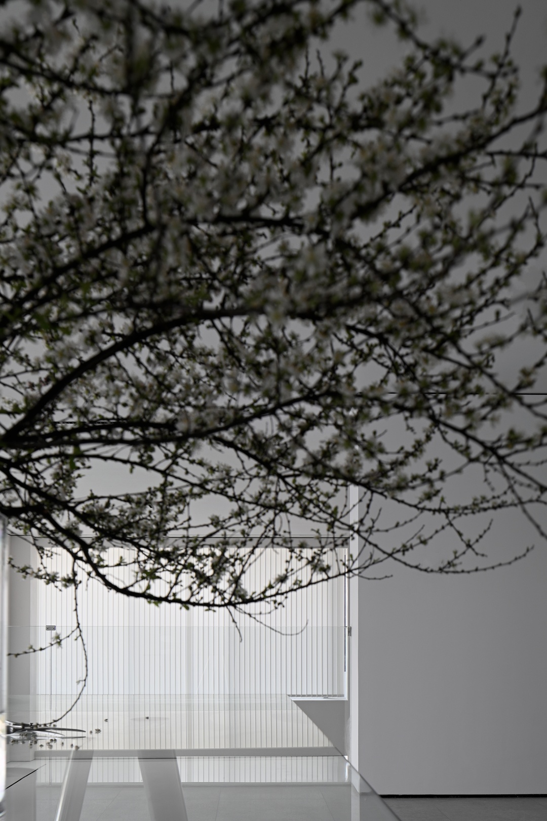 极简别墅丨中国苏州丨bk蓝骑士设计-55