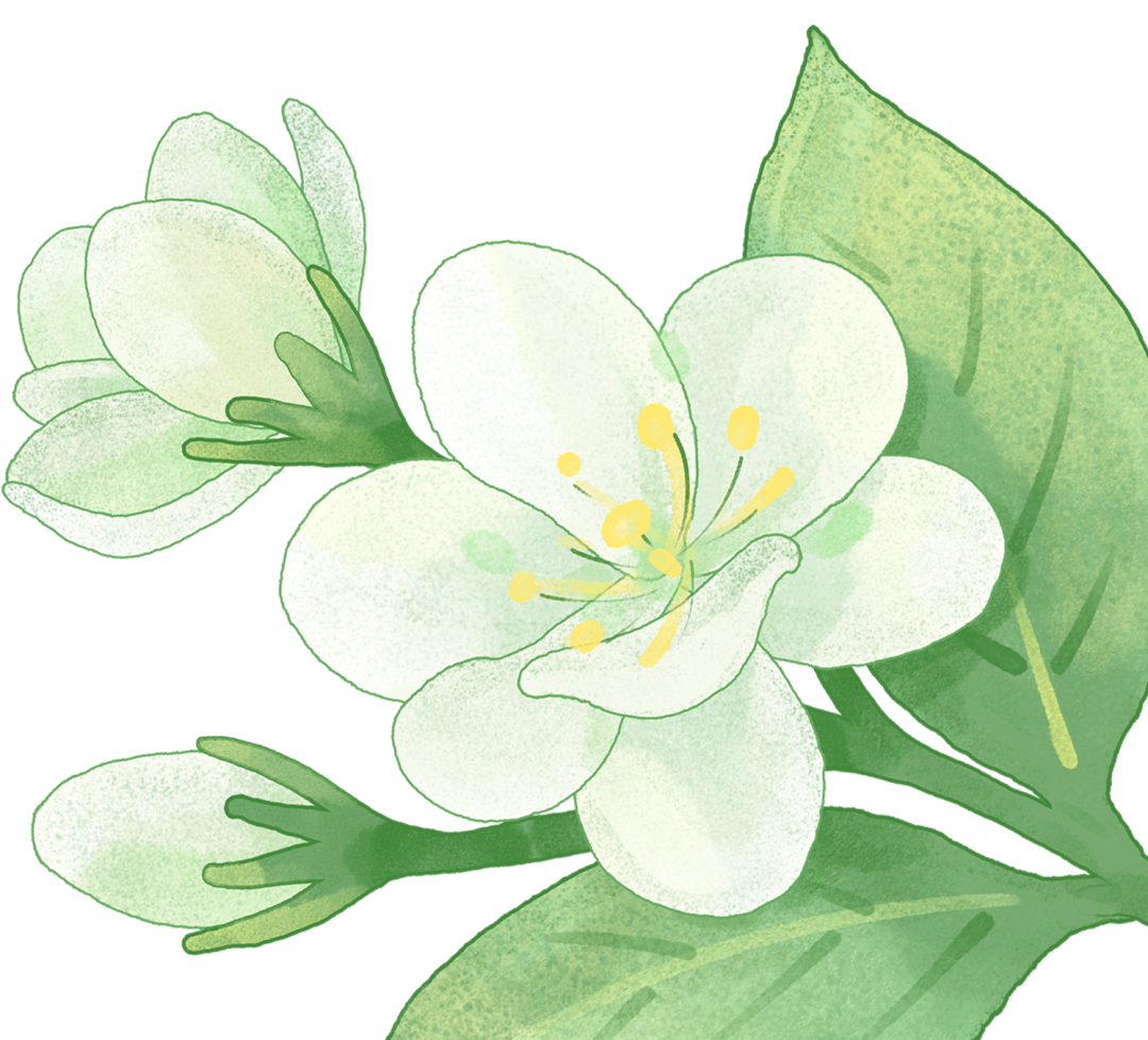 焕新颜!昆玉河东岸,1.8公里绿廊贯通——-47