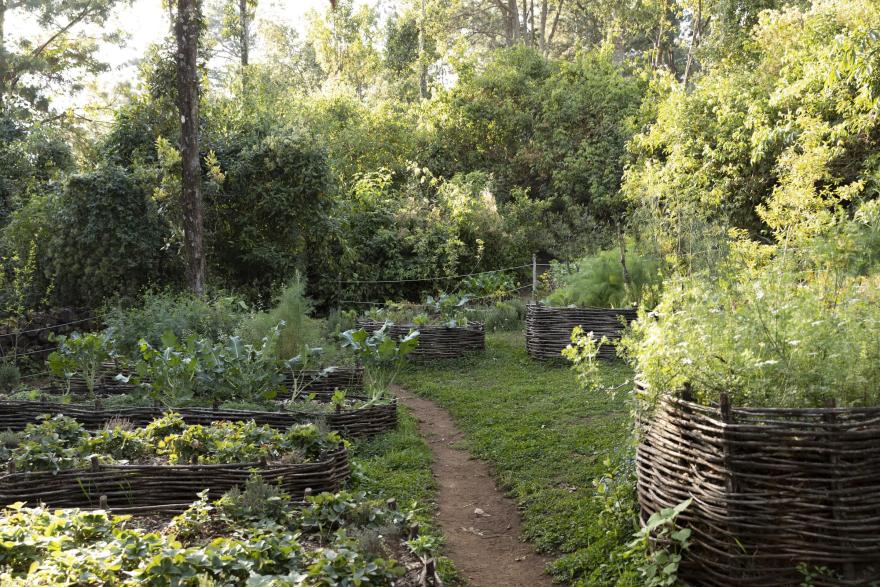 墨西哥森林花园-49