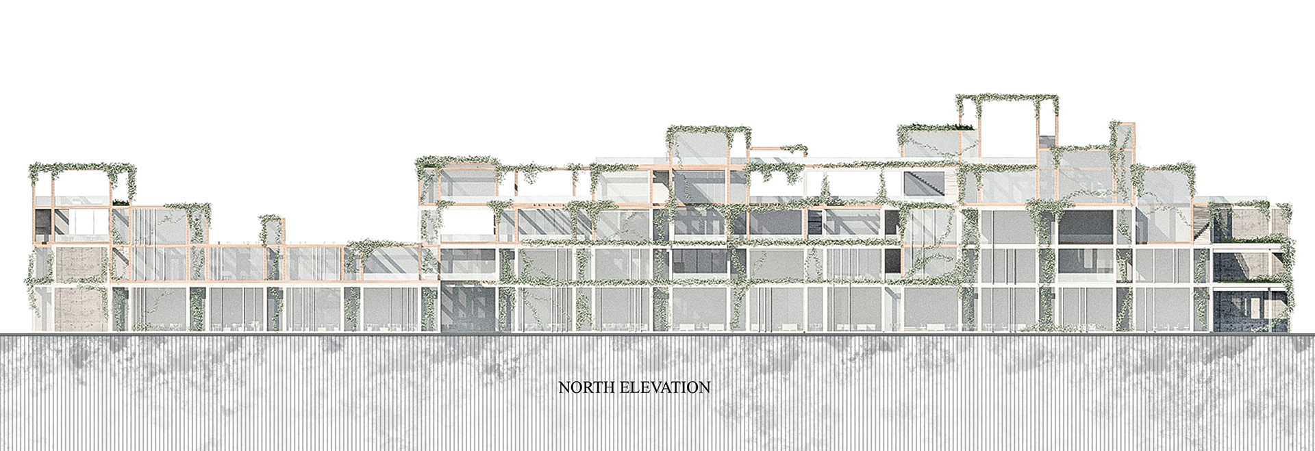 农业社区空间中心丨埃及亚历山大-16