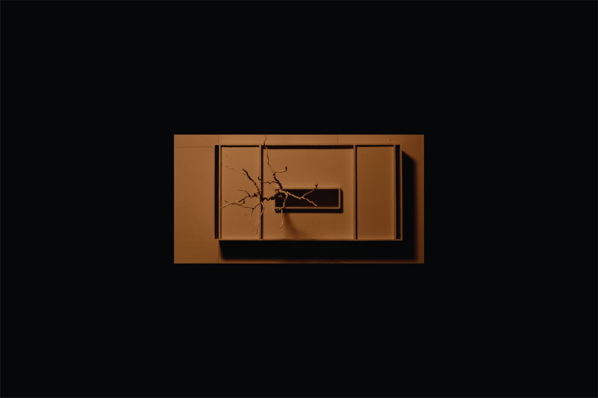 白宫（注：在葡萄牙语等语言中，Casa Branca字面意思是白色的房子，常用来指美国白宫） 丨巴西丨NEBR arquitetura-48