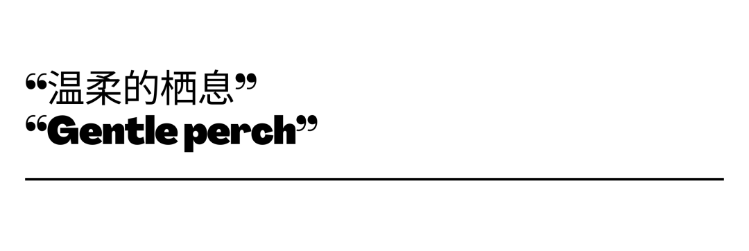 澜本原创「叙以NarrativeSpace」我的家里，万物都是自由诗-54