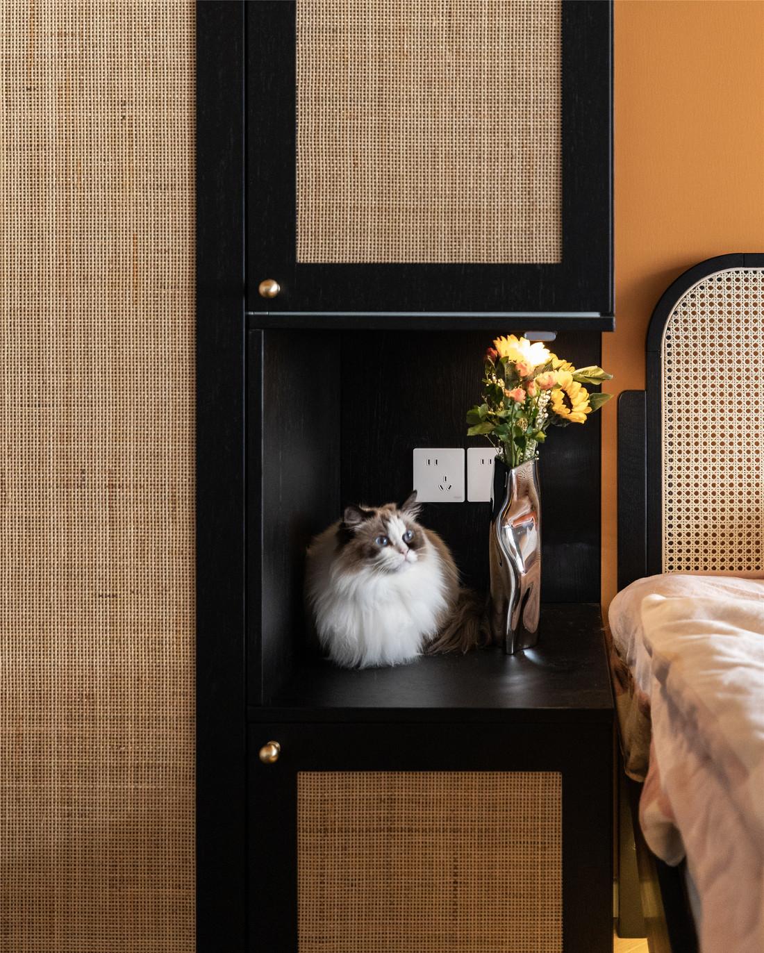 橙黄复古腔调猫舍-29