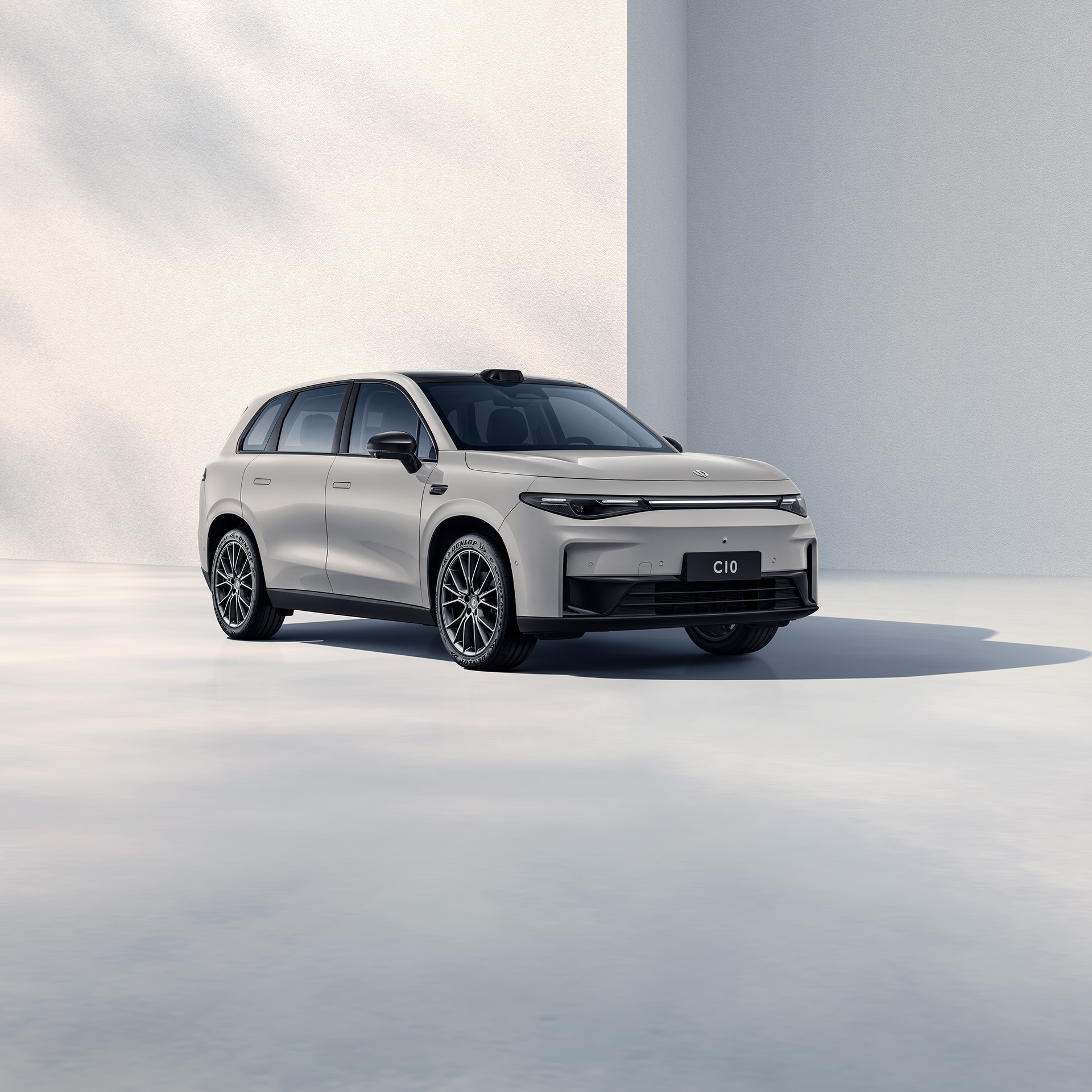 你提供的THE PERFECT LIEFE可能有误，推测正确的词是THE PERFECT LIFE，对应的翻译是：零跑C10，完美生活 丨BITONE-13