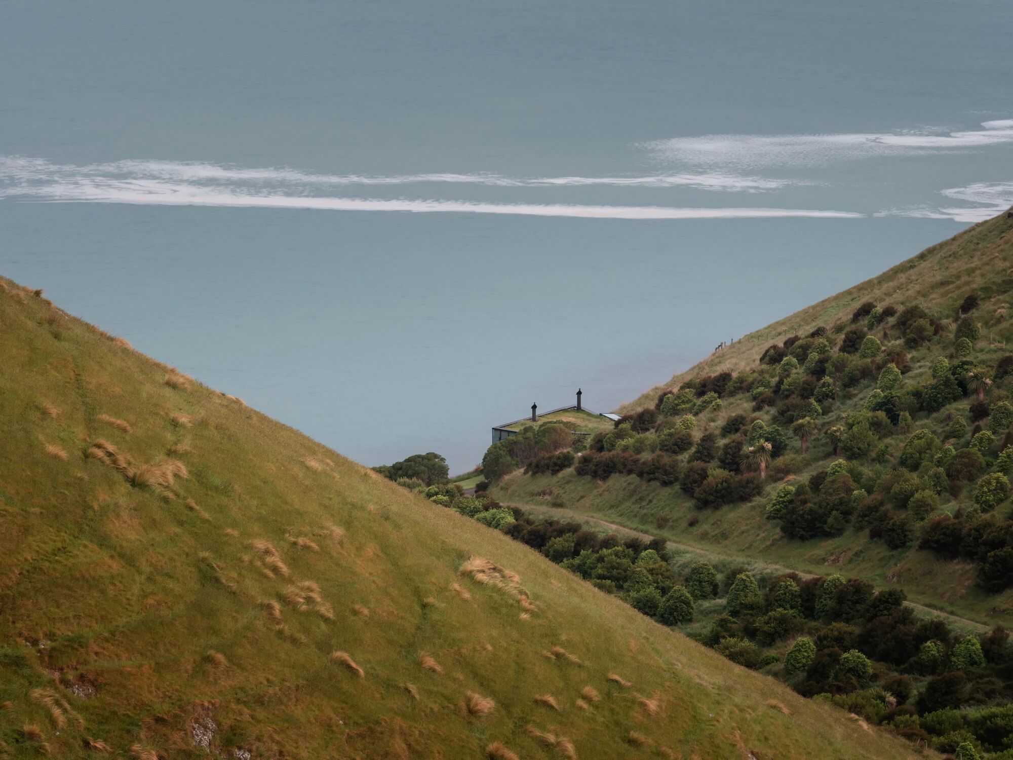 丨新西兰丨Patterson Associates-42