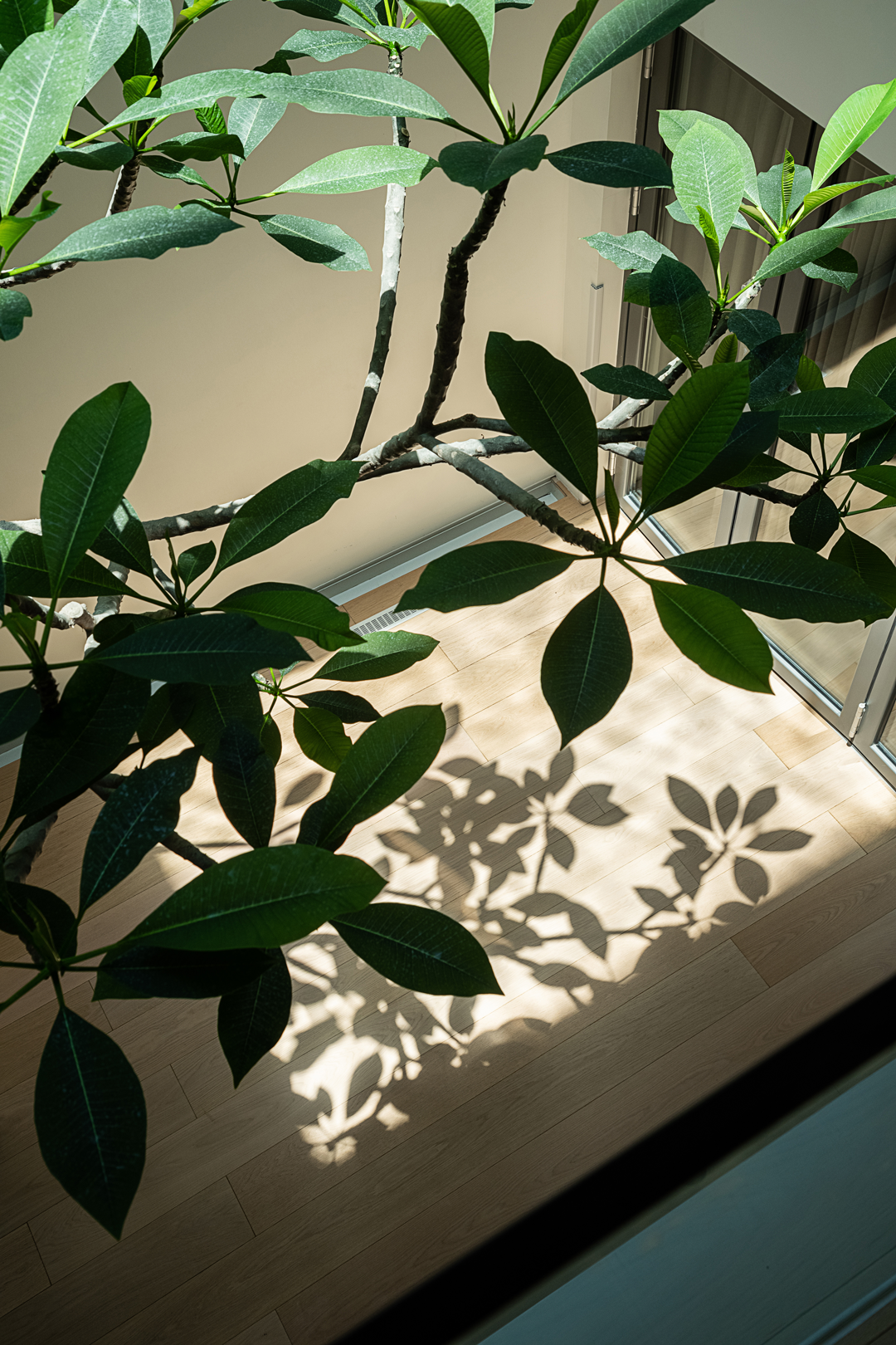 二十四院丨中国南京丨陈熠,肖锋-59