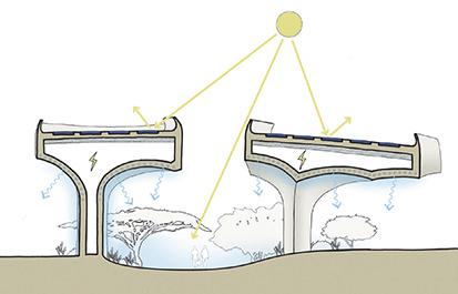 阿布扎比 Al Fayah 公园-6