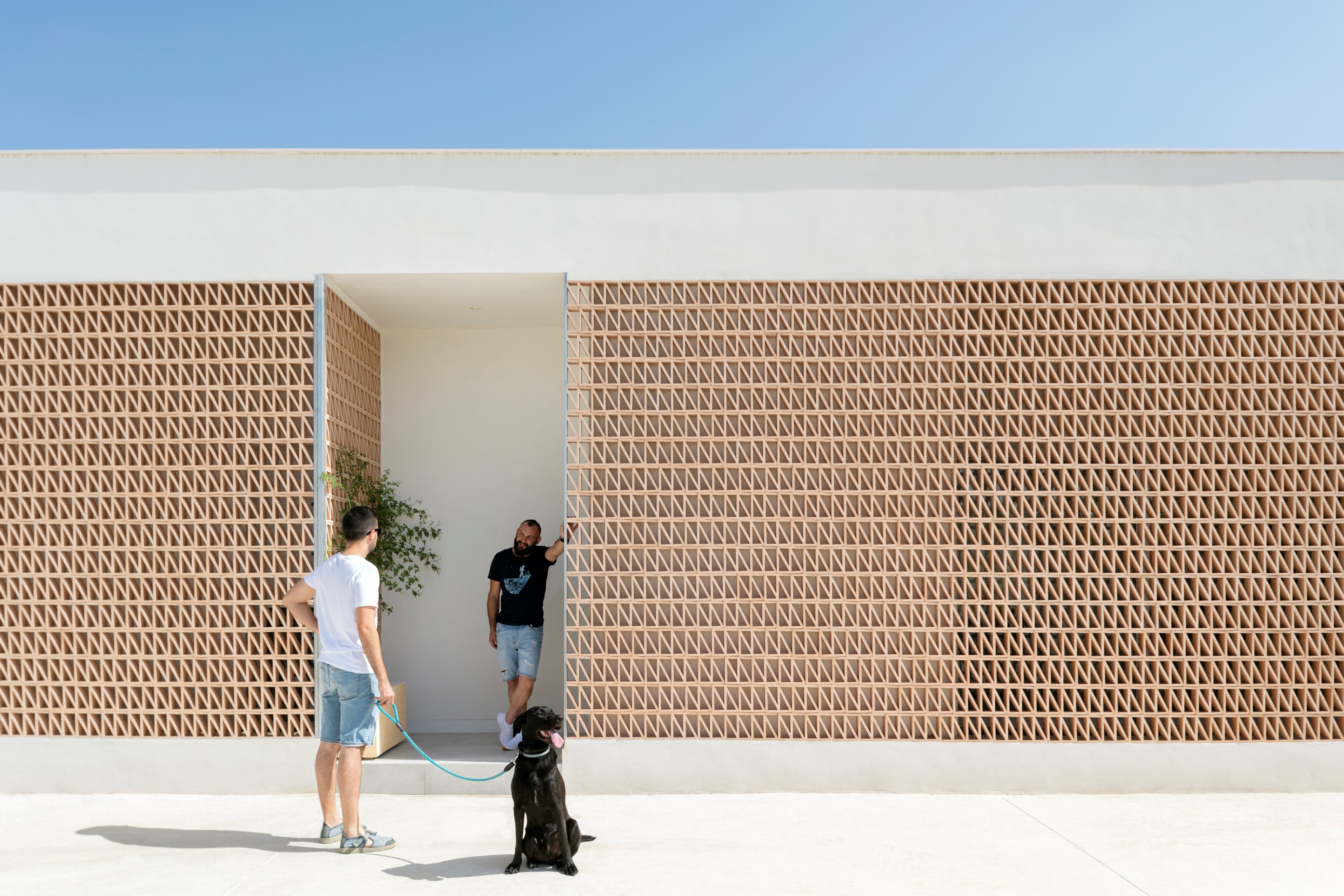 农舍中的私密绿洲·CasaERA丨西班牙阿尔梅里亚丨Palera Arquitectos-9