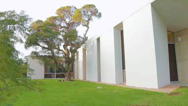 澳大利亚丛林中的梦幻极简别墅-7