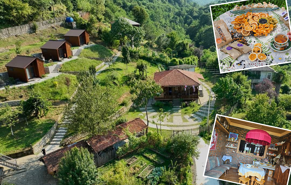 “სკიჯის სახლი”生态旅游项目-0