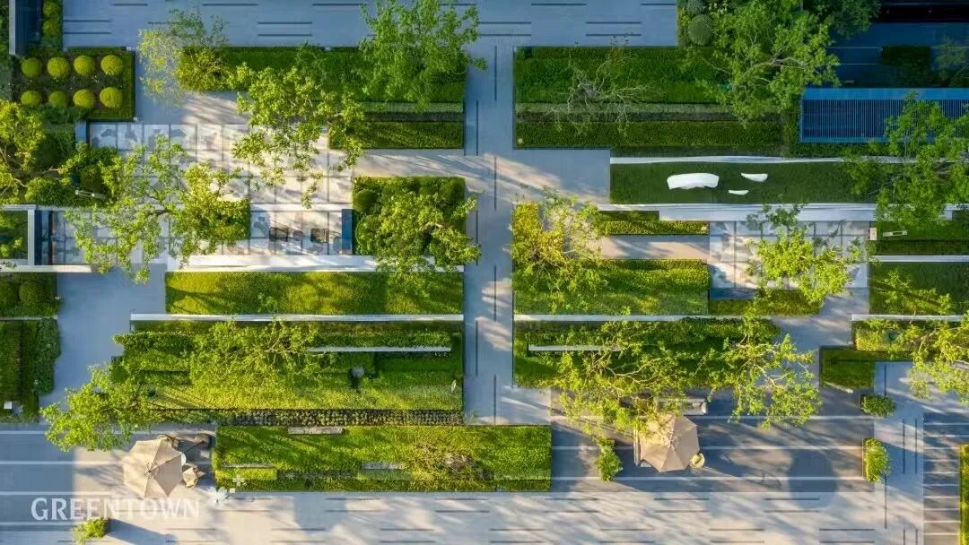 “心林物语”新作，送你一园夏梦-74