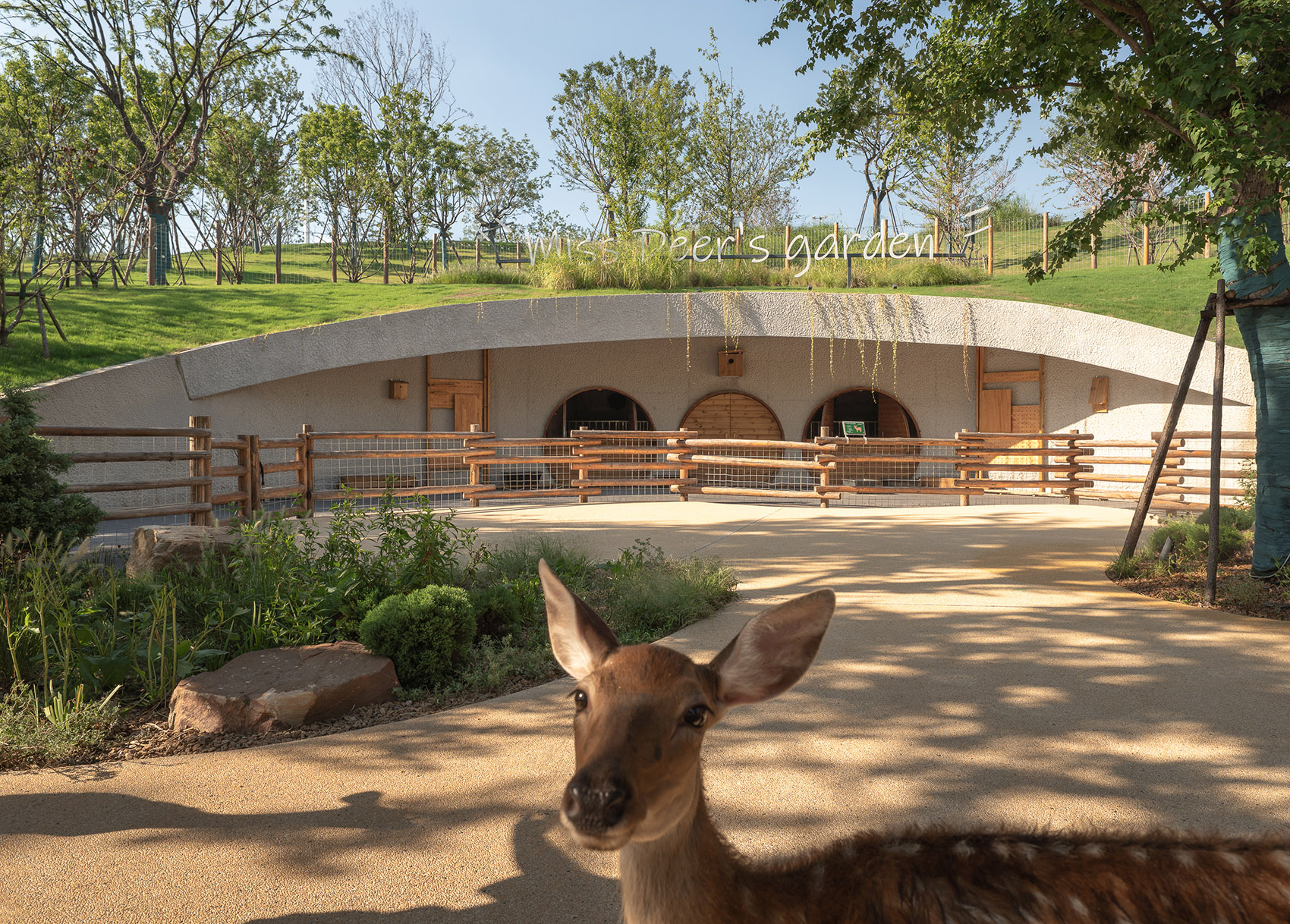 武汉麓客岛动物农场丨中国武汉丨万社设计-11