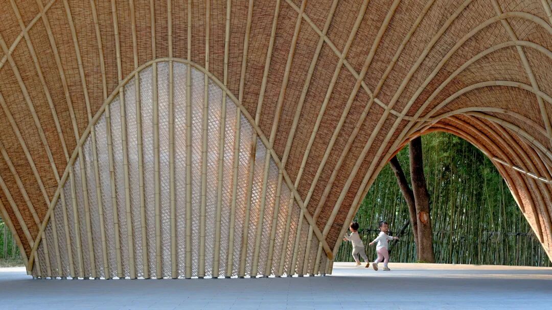 广宁竹海公园|构建绿美竹韵之路-40